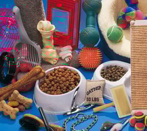 a dog is shown with a dog toy