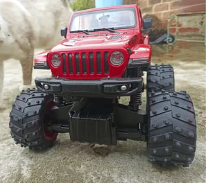 Jeep Rubicon con gato a un lado
