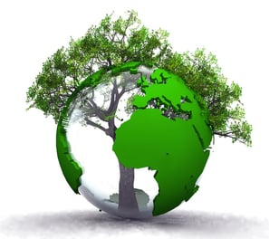Informatique écologique