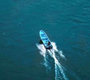 Panga puerto vallarta