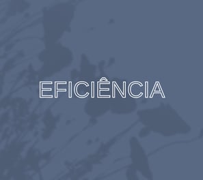 eficiencia