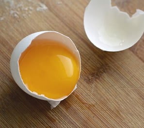 Conheça melhor Planta de Fábrica de Ovo Inteiro em Pó