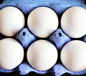 Planta de Fábrica de Clara de Ovo em Pó - Informe-se