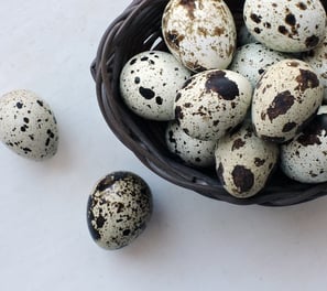 Planta de Galpão para Ovos de Codorna - Precisa de ajuda?