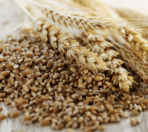 a bunch of wheats and wheats on a wooden table