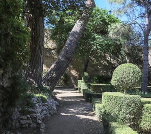 garden of a french castle in South of France