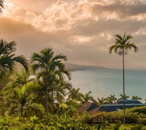 a view of a tropical coastline in Jamaica with palm trees, turquoise waters, and mountains