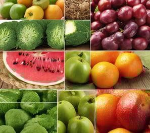 Export of different types of fruits and vegetables