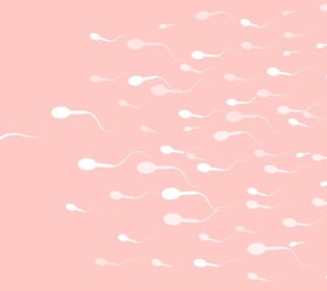 Frozen sperm bank
