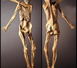 Otzi