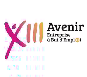 logo de l'association avenir 13
