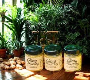 Gừng muối mật ong Lá Mây