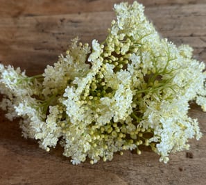 a bunch of white flowers on a wooden table