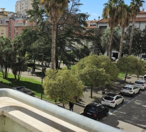 a view of a city street with cars parked in front of a building