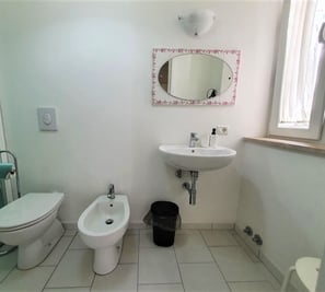 a bathroom with a toilet and a sink