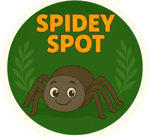 Spidey Spot - spider-themed finds for curious minds