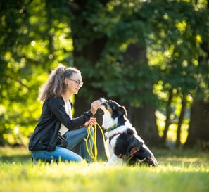 Verbindender Moment zwischen Trainerin und Hund – Vertrauen im Fokus bei Takoda