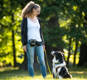 Antonia mit Hund im Training – individuelle Begleitung bei Takoda