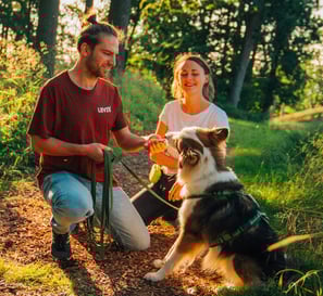Achtsames Coaching mit Hund im Wald – individuelle Begleitung bei Takoda