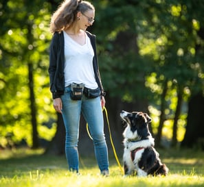 Toni und Hund auf Wiese im Blickkontakt – achtsames Miteinander im Grünen