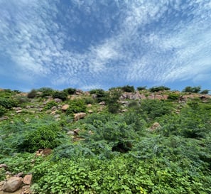 Govardhan Hill, Jatipura, Uttar Pradesh