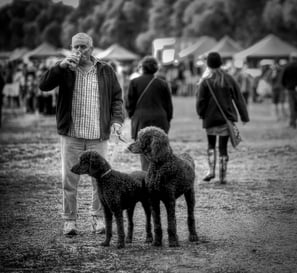 Man with 2 poodles