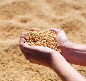 commodities