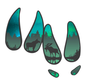 a group of four different types of animals in the woods