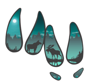 a group of animals in the woods