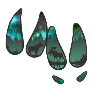 a group of four different types of animals in the woods