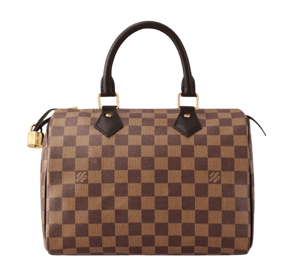 LV Speedy 25 Damier Ebene Women Handbag