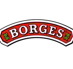 borges olive oil in pakistan