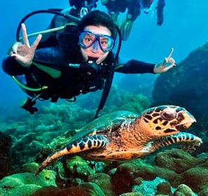 MERGULHO