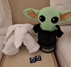 Little green companion and Towel elephant on night stand