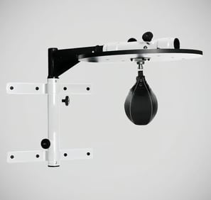 speed bags, mma speed bags, boxing speed balls