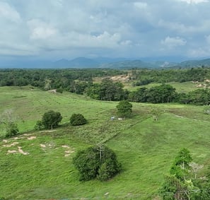 finca ganadera con levantamiento de drone ubicada en Santander colombia