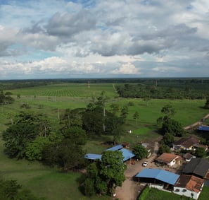 finca de cultivo de palma realizada con drone en Santander Colombia