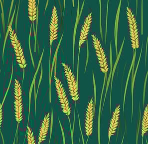 PESTICIDES AGRICULTURE HISTOIRE
