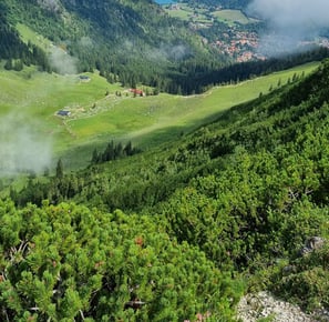 schliersee ausblick brecherspitz anklalm ankl alm