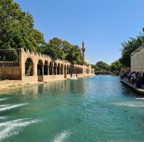 Şanlıurfa Balıklıgöl