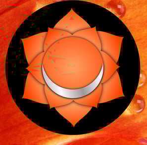 Image red chakra, base chakra, root chakra, yellow chakra, orange chakra, heart chakra, throat chakr