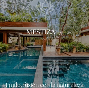 mestiza 15 tulum, real estate investment mexico, tulum investment properties, beach view