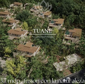 a large group of houses with a view of a forest