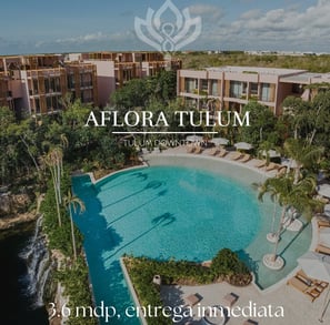 aflora tulum, como funciona la preventa de departamentos en mexico