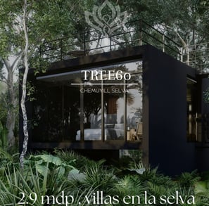 tree60 tulum, villas en la selva en tulum, treehouse