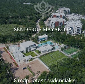 mayakoba playa del carmen, campo de golf playa del carmen, golf