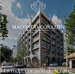 real estate investment mexico, riviera maya rental income properties, invest in playa del carmen,