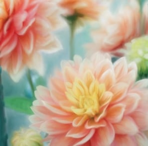 digital painting of pastel flowers