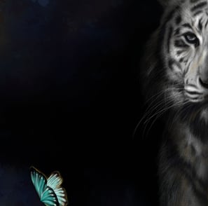 digital painting of a tiger gazing at a butterfly