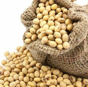 a bag of soy beans on a white background hamer candy